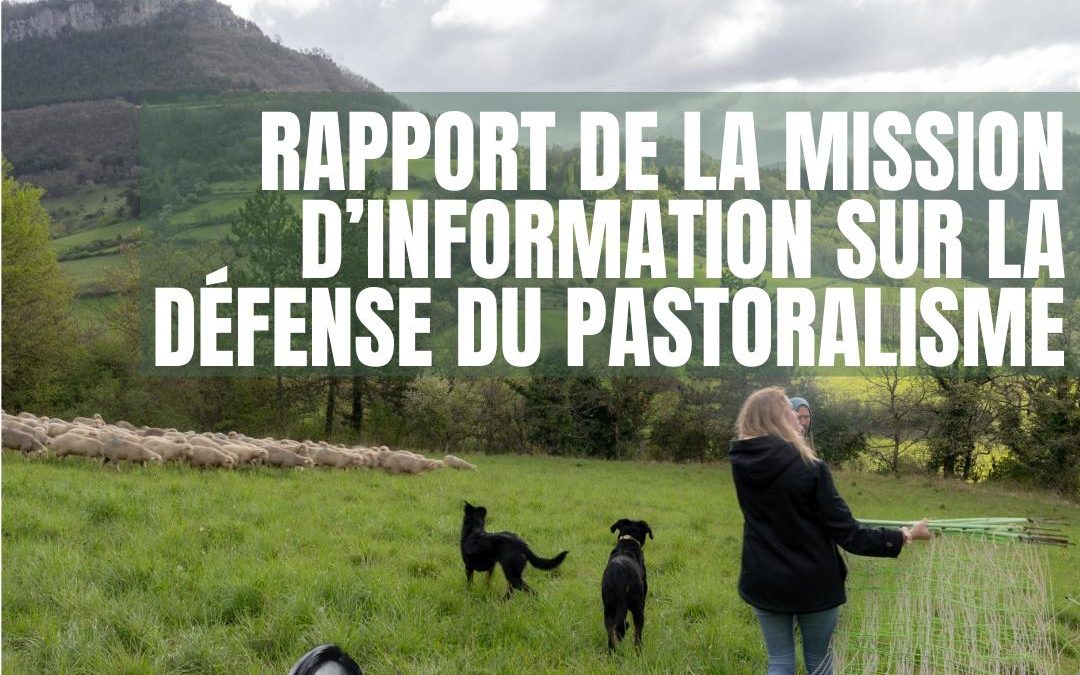 Présentation du rapport de ma mission d’information sur la préservation du pastoralisme
