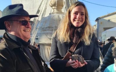 Journal de bord #146