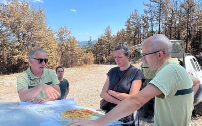 Journal de bord #175
